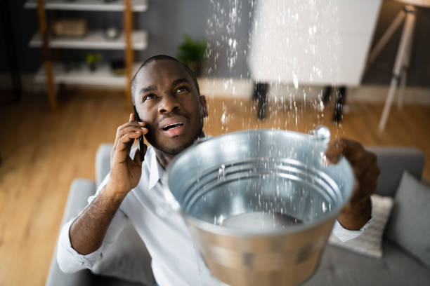 Best Water damage cleanup near me  in Stanaford, WV