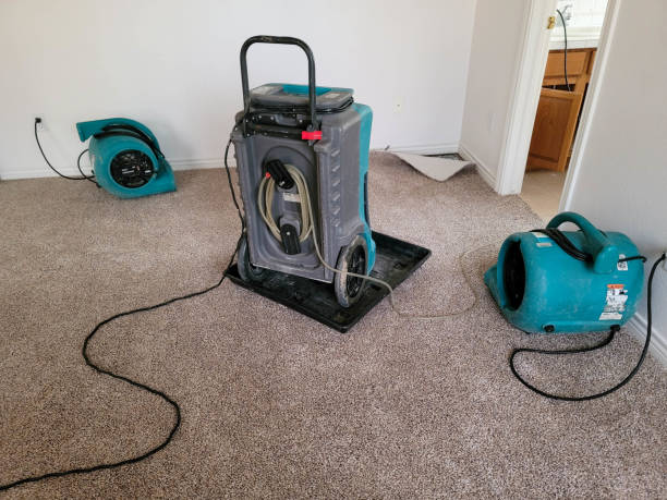 Best Commercial water damage restoration  in Stanaford, WV