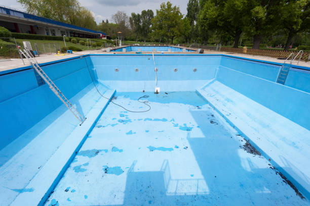 Best Mold removal after water damage  in Stanaford, WV