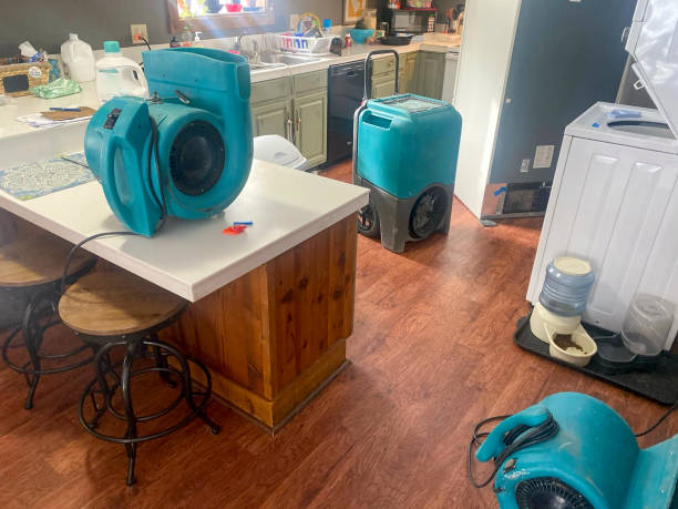 Best Water damage contractors near me  in Stanaford, WV
