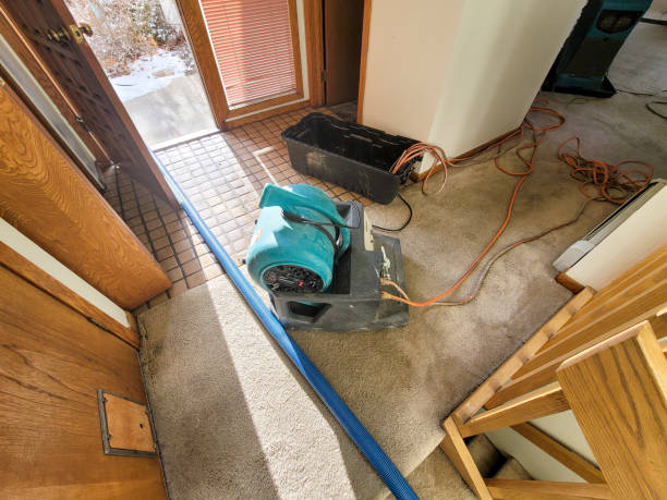 Best Emergency water damage restoration  in Stanaford, WV