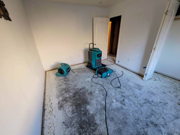  Stanaford, WV Water damage restoration Pros