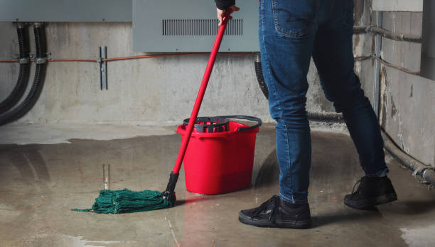 Best Professional water damage repair  in Stanaford, WV