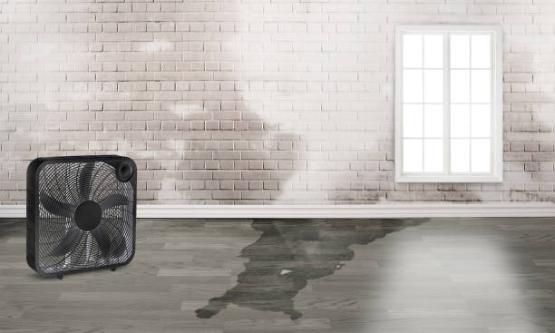 Best Residential water damage restoration  in Stanaford, WV