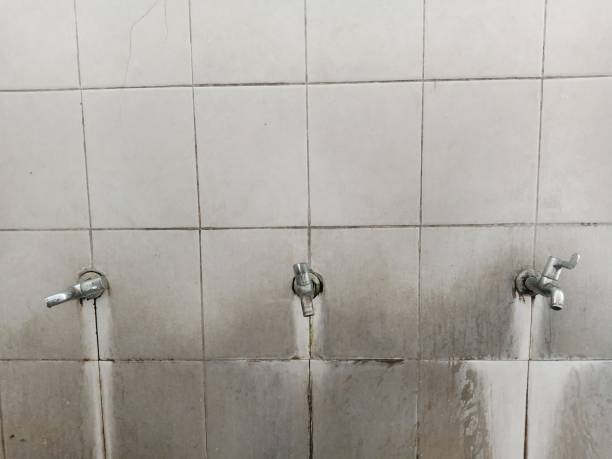 Sewage cleanup and water damage restoration in Stanaford, WV