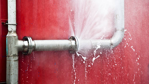 Best Mold removal after water damage  in Stanaford, WV