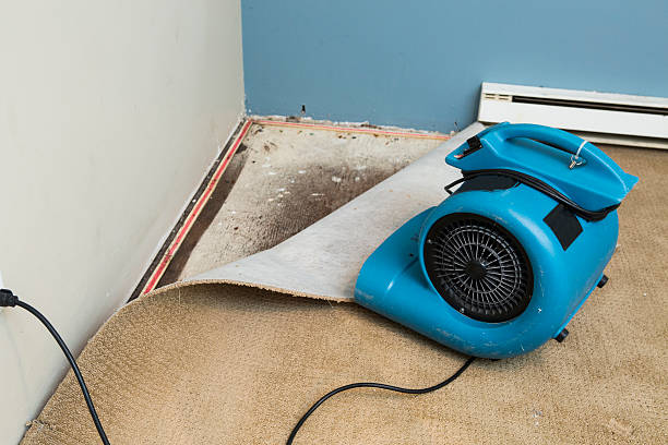 Best Water damage restoration near me  in Stanaford, WV